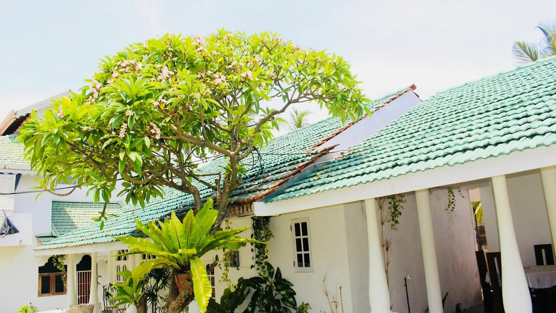 Villa Sri Beach Negombo